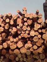 木板材,原木,木质型材,木制片料,其他木质材料,木制线料-达利木材加工厂