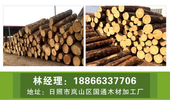 白松木材加工厂 木材加工厂 国通木业 查看