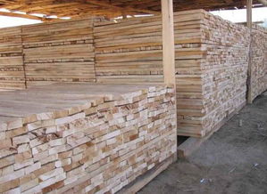 板材利润高,掌握这几点,轻松办起木材加工厂