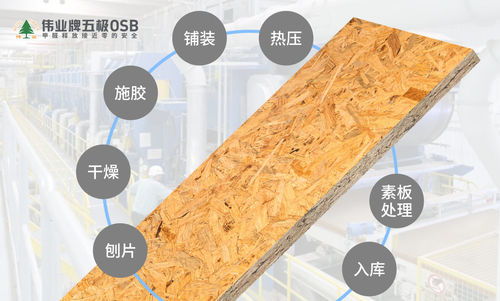 2021最环保的人造板 伟业牌五极osb