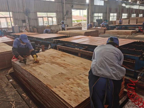 八步区 2021年前三季度规上工业经济发展势头强劲