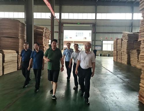 广西市场监管局开展崇左人造板产品生产许可证申办工作调研指导