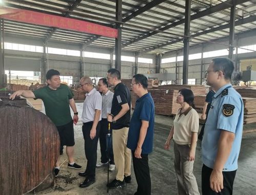 广西市场监管局开展崇左人造板产品生产许可证申办工作调研指导