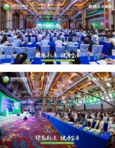 2018中国无醛人造板高峰论坛 无醛人造板及其制品 行业标准发布